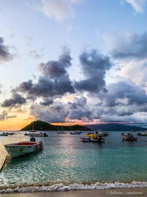 Villa Ker Iguane Terre De Haut Les Saintes Экстерьер фото