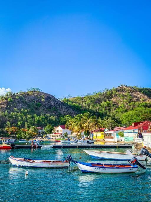 Villa Ker Iguane Terre De Haut Les Saintes Экстерьер фото